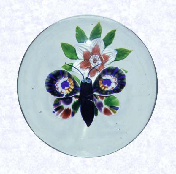 <B>Lampworked Butterfly on a Clematis<BR>France<BR>Baccarat, circa 1845-55</B><BR>Diameter: 7.6 cm (3 inches)<BR>(702144)<BR><BR>Lampworked butterfly with a deep purple body, light blue eyes, and multicolored sliced millefiori cane wings, hovers over a white and salmon-colored clematis blossom with green leaves and stem