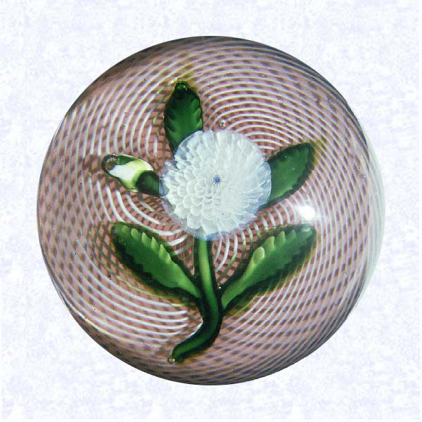 <B>Lampworked White Camomile on Latticinio and Red Ground<BR>France<BR>Saint Louis, circa 1845-55</B><BR>Diameter: 6.5 cm (2 1/2 inches)<BR>(702334)<BR><BR>Lampworked white camomile blossom with a white bud; blue center cane; four green leaves and stem; on a double swirl white latticinio ground with a translucent layer of red glass sandwiched between swirls