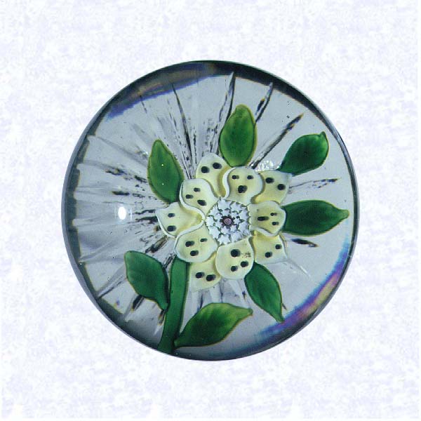 <B>Lampworked Wheat Flower<BR>France<BR>Baccarat, circa 1845-55</B><BR>Diameter: 6 cm (2 3/8 inches)<BR>(702372)<BR><BR>Pale yellow lampworked wheat flower blossom with black dots on petals; white and red center cane; seven aventurine green (opaque glass containing sparkling chromic oxide particles) leaves and stem; star-cut base