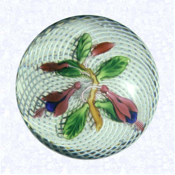 <B>Lampworked Fuschia Bouquet<BR>France <BR>Saint Louis, circa 1845-55</B><BR>Diameter: 7 cm (2 3/4 inches)<BR>(702404)<BR><BR>Flat lampworked bouquet of two red and blue fuchsia blossoms and two red buds; attached by pink stems to an orange branch; five green leaves; set on a double swirl white latticinio ground