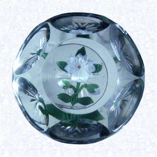 <B>White Lampworked Clematis<BR>France<BR>Baccarat, circa 1845-55</B><BR>Diameter: 5.4 cm (2 1/8 inches)<BR>(702413)<BR><BR>White lampworked clematis blossom with two white buds; white and red center cane; five green leaves and three crossed stems; star-cut base; sides cut with six circular printies, one on top