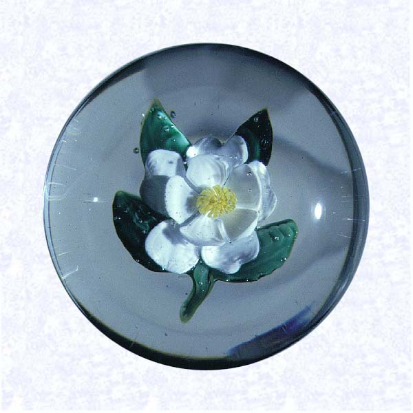 <B>Miniature Lampworked White Blossom<BR>France<BR>Pantin (attributed), late-nineteenth century</B><BR>Diameter: 4.2 cm (1 5/8 inches)<BR><BR>Miniature weight with a white flower blossom resembling a magnolia; deeply cupped petals with a yellow center cane; four dark green leaves and small stem