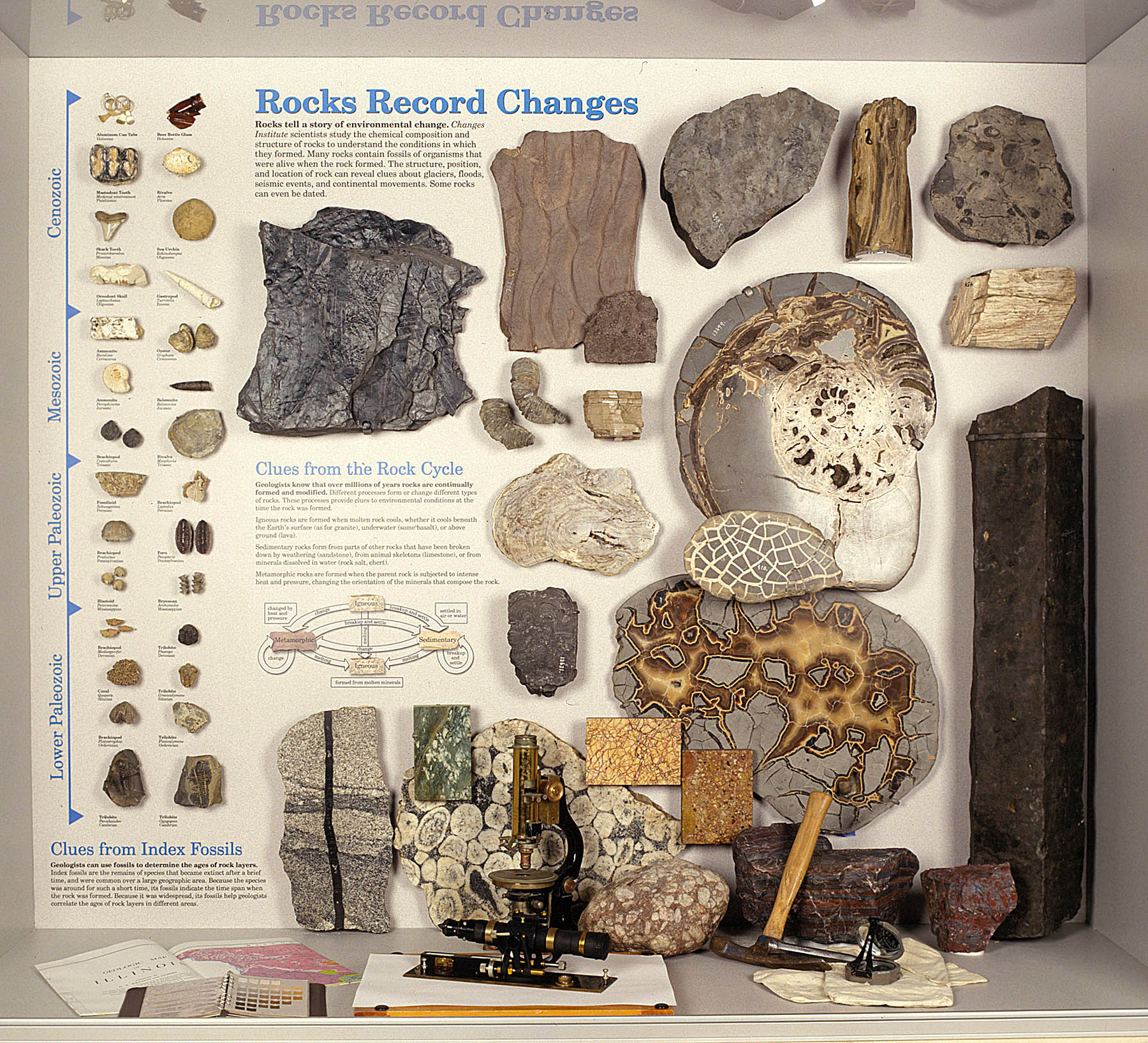 exhibit panel on the geological record