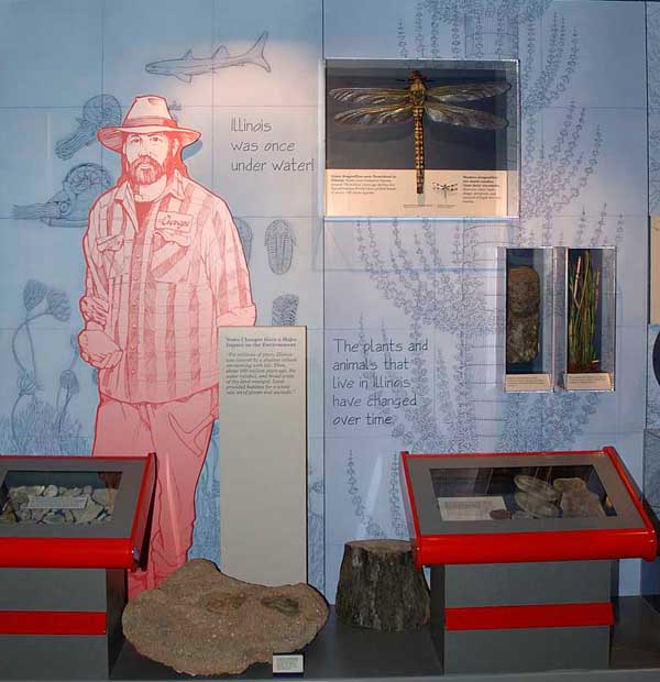 exhibit panel illustrating large and small changes
