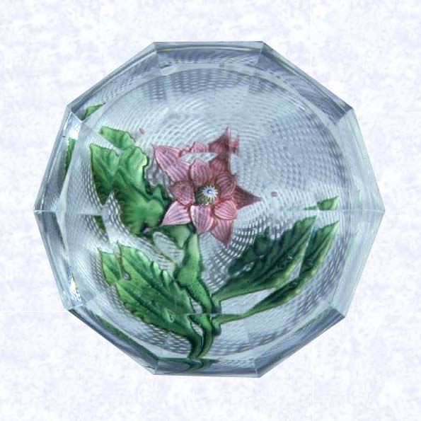 <B>Lampworked Pink Clematis<BR>France<BR>Saint Louis, circa 1845-55</B><BR>Diameter: 7.6 cm (3 inches)<BR>(702272)<BR><BR>Lampworked pink clematis blossom with  a yellow, white, and blue center cane; three large, green leaves and stem; on a double swirl white latticinio ground; sides cut with four rows of four-sided facets in graduated sizes; ten-sided facet cut on top