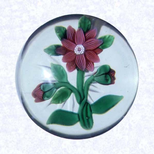 <B>Lampworked Pink Clematis and Buds<BR>France<BR>Baccarat, circa 1845-55</B><BR>Diameter: 6.7 cm (2 5/8 inches)<BR>(702288)<BR><BR>Lampworked rose pink clematis blossom with two pink buds; white and pink center cane; eight green leaves and three crossed stems; star-cut base