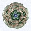 Fluted Garland MillefioriFranceClichy, circa 1845-55Diameter: 7 cm (2 3/4 inches)(702308)Garland millefiori with one green and one pink cinquefoil garland, around a blue center cane; on a white filigree ground backed with parallel lengths of white filigree twists; sides cut with five circular printies separated by five vertically cut flutes; circular printy cut on top; (formerly in the collection of King Farouk of Egypt)