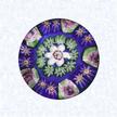 Miniature Pattern Millefiori on BlueFranceClichy, circa 1845-55Diameter: 4.2 cm (1 5/8 inches)(702369)Miniature pattern millefiori with concentric rings of millefiori canes in blue, green, and white, including five pink Clichy roses in the outermost ring; center white flower-shaped cane
