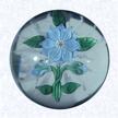 Lampworked Blue ClematisFranceBaccarat, circa 1845-55Diameter: 5.1 cm (2 inches)(702374)Miniature weight with a pale blue lampworked clematis blossom and two blue buds; white and red center cane; five green leaves and three crossed stems; star-cut base