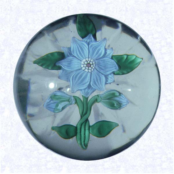 <B>Lampworked Blue Clematis<BR>France<BR>Baccarat, circa 1845-55</B><BR>Diameter: 5.1 cm (2 inches)<BR>(702374)<BR><BR>Miniature weight with a pale blue lampworked clematis blossom and two blue buds; white and red center cane; five green leaves and three crossed stems; star-cut base