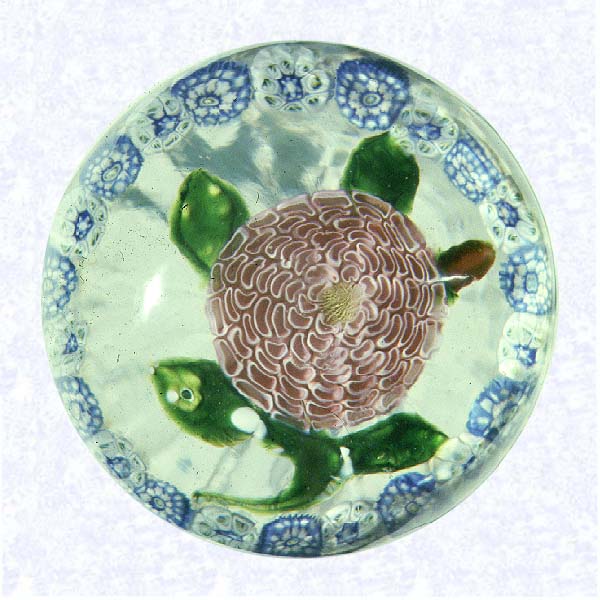 <B>Pink Camomile<BR>France<BR>Saint Louis, circa 1845-55</B><BR>Diameter: 4.8 cm (1 7/8 inches)<BR>(702398)<BR><BR>Miniature weight with a pink lampworked camomile blossom and a red bud; yellow center cane; four green leaves and stem; encircled by a ring of alternating blue and white millefiori canes; star-cut base