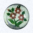 Flat Lampworked Clematis BouquetFranceBaccarat, circa 1845-55Diameter: 7.6 cm (3 inches)(702424)Flat lampworked bouquet of three salmon-colored clematis blossoms with green leaves and stems; star-cut base