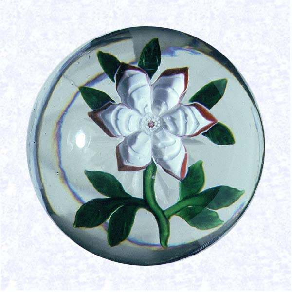 <B>Lampworked Anemone Blossom<BR>France<BR>Baccarat, circa 1845-55</B><BR>Diameter: 7.3 cm (2 7/8 inches)<BR>(702430)<BR>Deeply cupped white and red lampworked anemone blossom with a white center cane; eleven green leaves and stem; star-cut vase