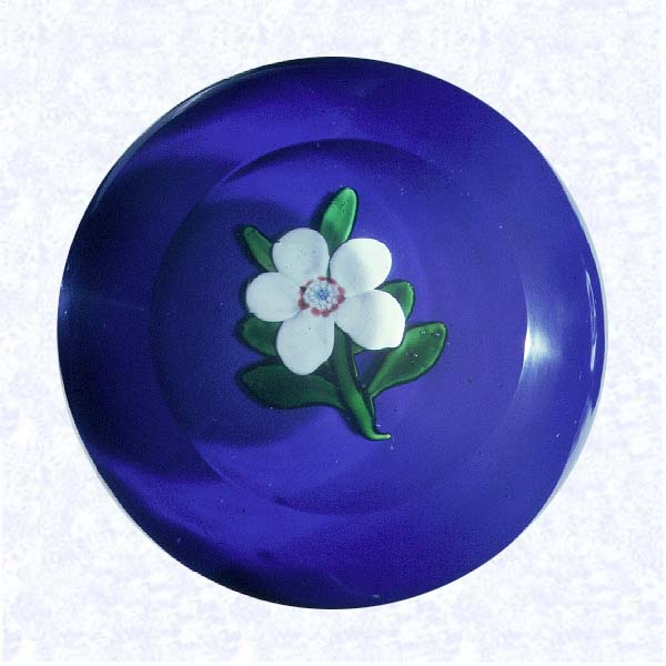 <B>Lampworked Gardenia Blossom<BR>France<BR>Baccarat, circa 1845-55</B><BR>Diameter: 7.3 cm (2 7/8 inches)<BR>(702432)<BR><BR>Opaque white lampworked gardenia blossom with a white and pale blue center cane encircled by red dots; six green leaves and stem; on a dark blue opaque ground; top cut with a large circular printy