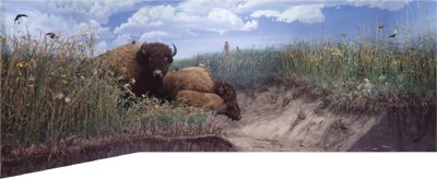 prairie exhibit